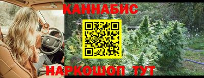 амф Камышлов