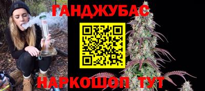 гидра Кингисепп