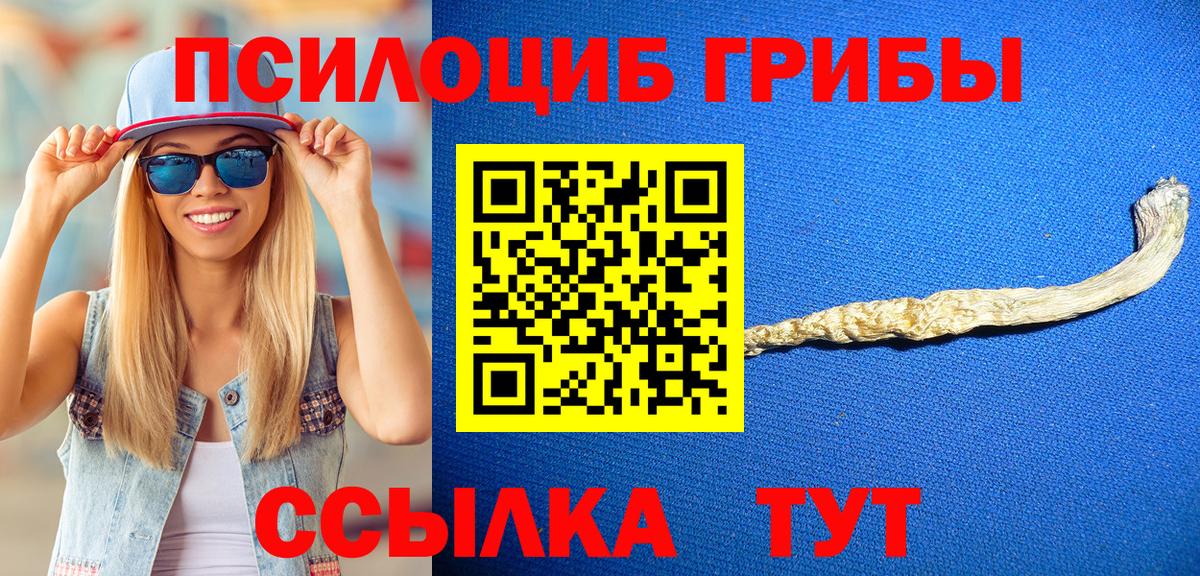 Ульяновск  Псилоцибиновые грибы Psilocybe  Вход с VPN  Псилоцибиновые грибы MAGIC MUSHROOMS 